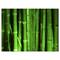 Designart - Green Bamboo Forest - Floral Canvas Art Print